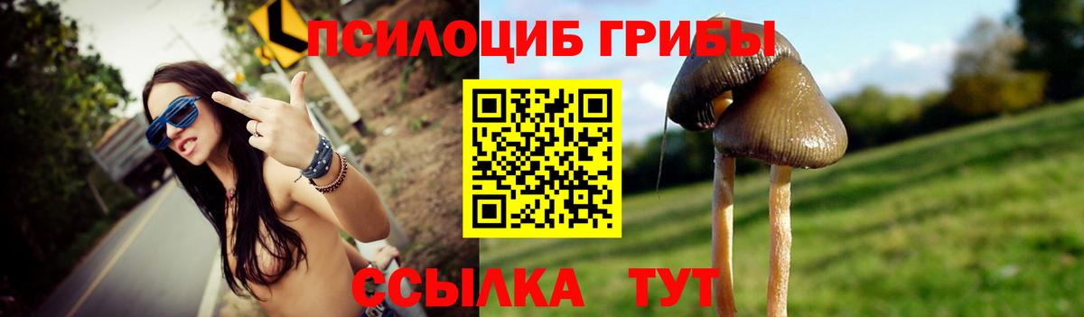 Кузнецк  Псилоцибиновые грибы мухоморы  Псилоцибиновые грибы Psilocybine cubensis  Вход с VPN 